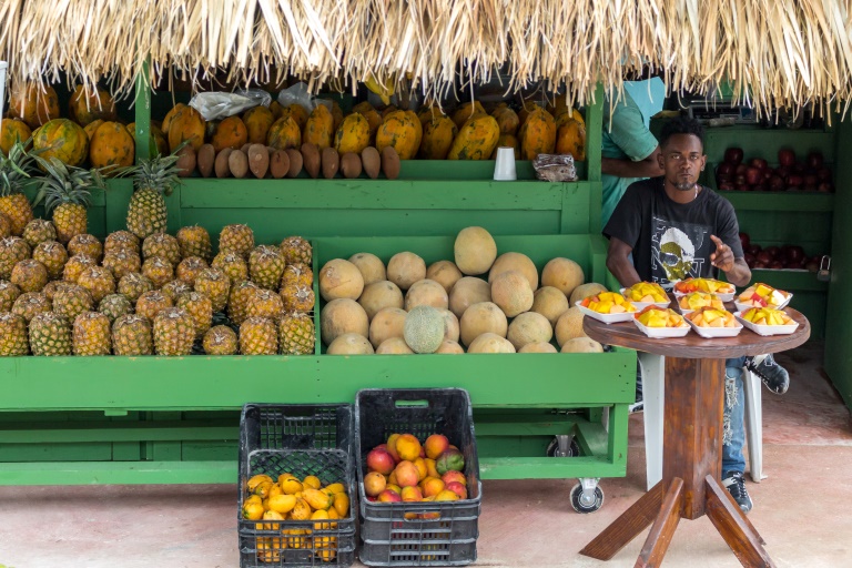 Punta Cana Ausflug | Verkaufsstand